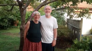 Sheila Terry trees in back yard