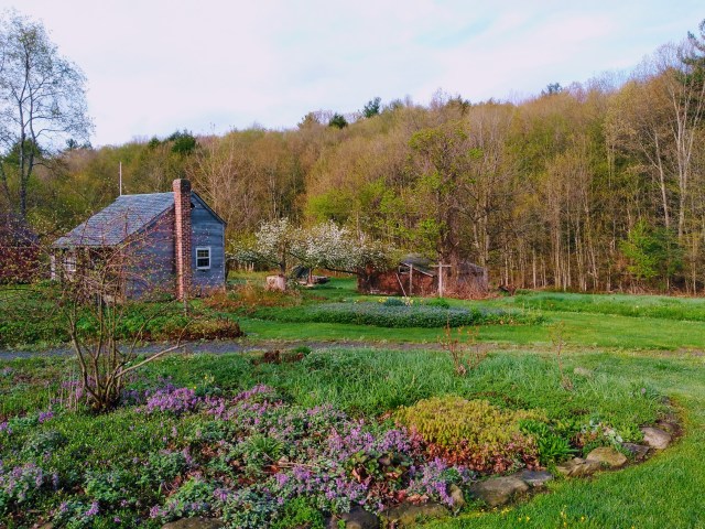 Green arriving in WH h