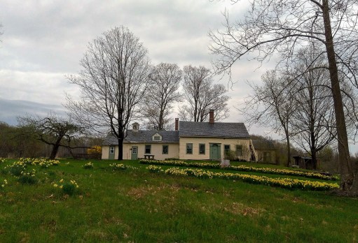 WH Conference Center with daffodils a b