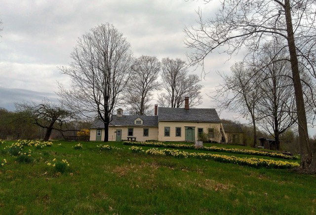 WH Conference Center with daffodils a b