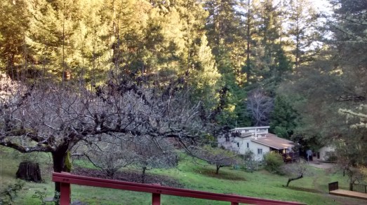 view from Orchard Lodge to the Quaker Center office