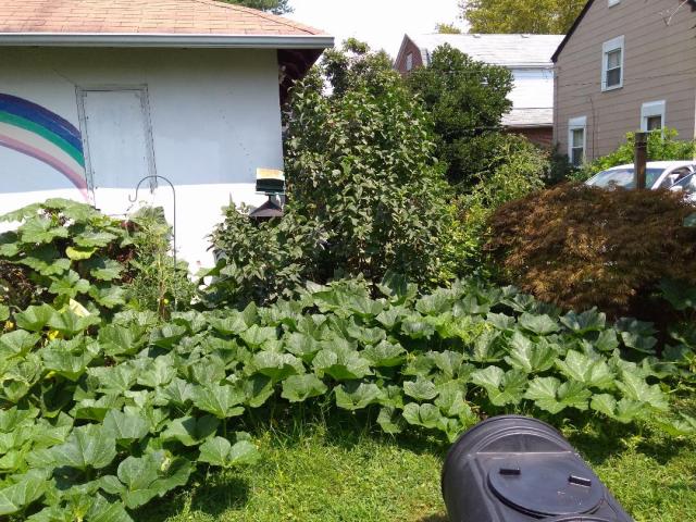 IMG_20190803_120714877