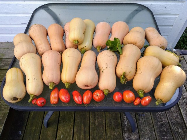 IMG_20191019_152739799